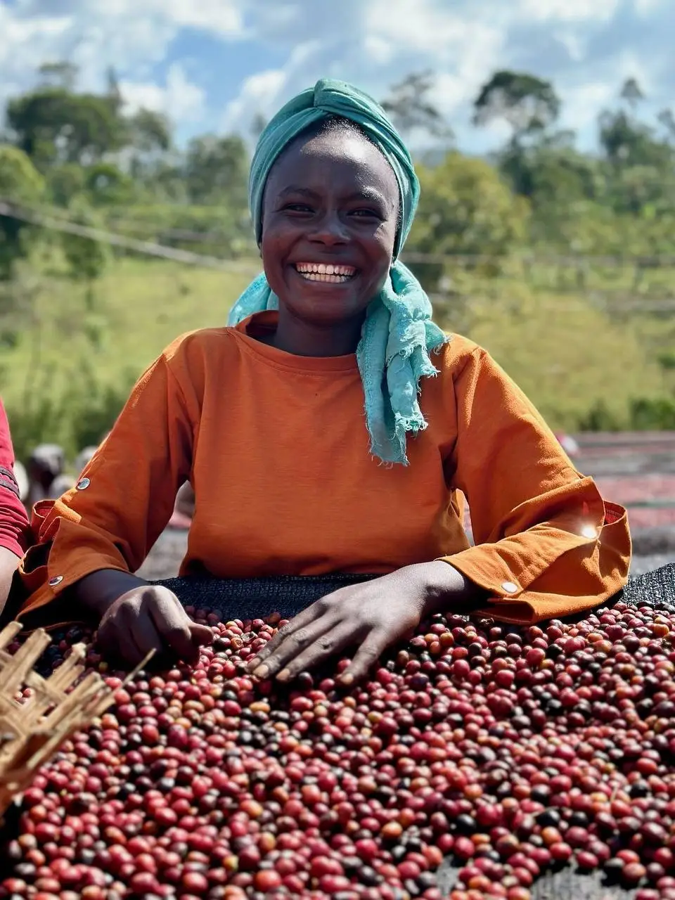 Ethiopian Guji